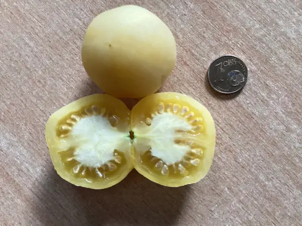Tomaten: Ghost of Bulgaria
