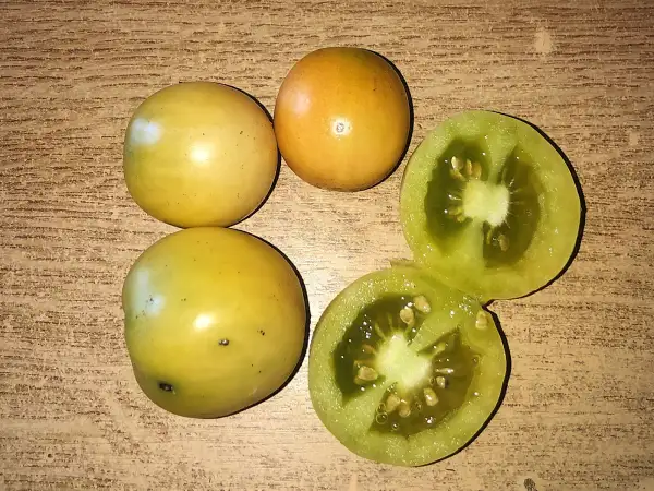Tomaten: Giallo A Grappoli