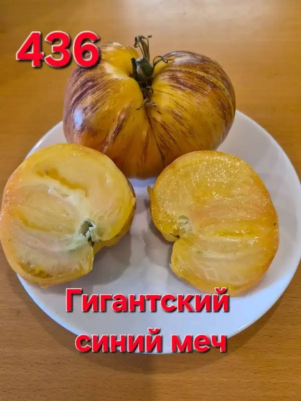Tomaten: Giant blue sword