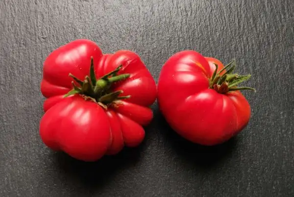 Tomaten: Gigant Astrakhanskiy