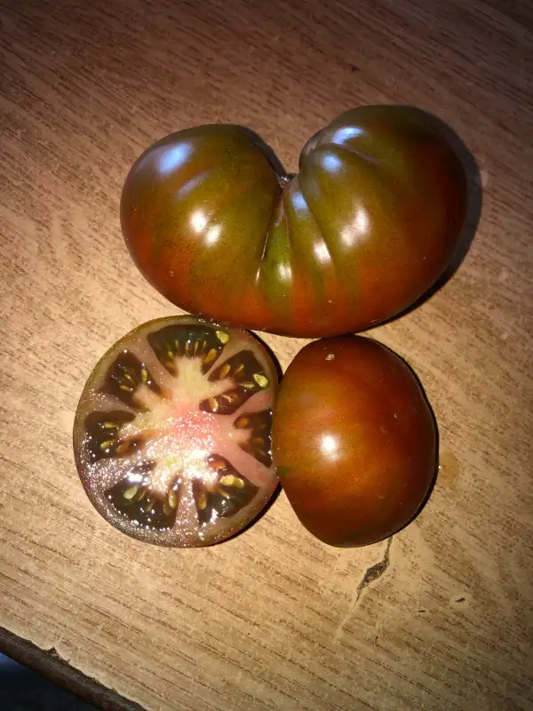 Tomaten: Gigant Kuby