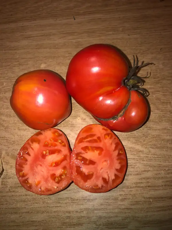 Tomaten: Gigant Suhomlinskogo