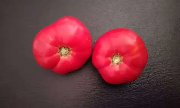 Tomaten: Gigante Italiano