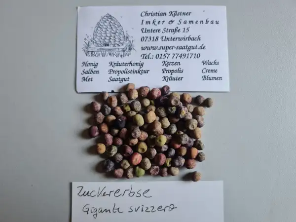 Erbsen: Gigante svizzero