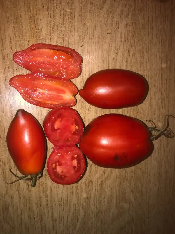 Tomaten: Gigondas