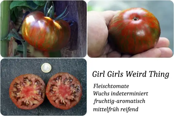 Tomaten: Girl Girls Wierd Thing