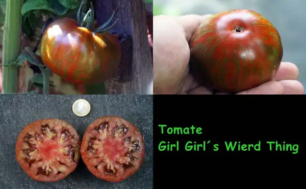 Tomaten: Girl Girls Wierd Thing