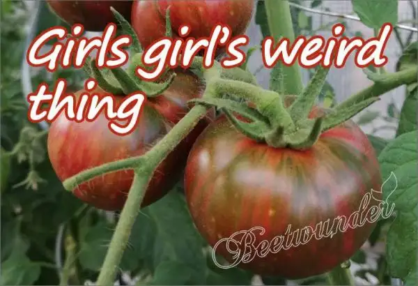 Tomaten: Girls girl