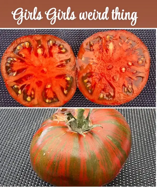 Tomaten: Girls girls weird thing