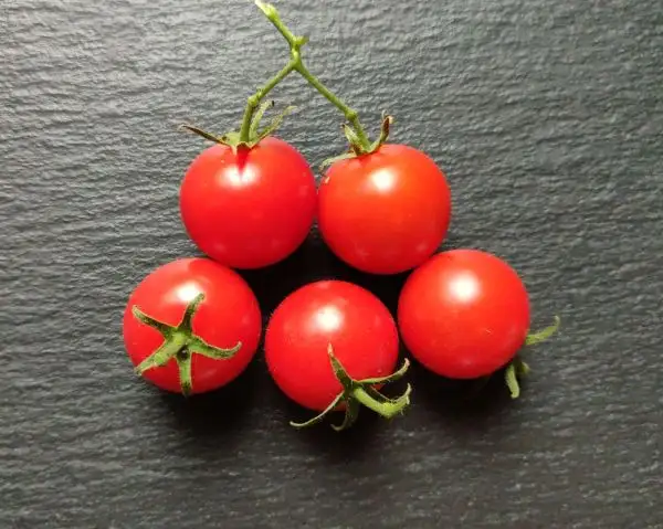 Tomaten: Glanztomate