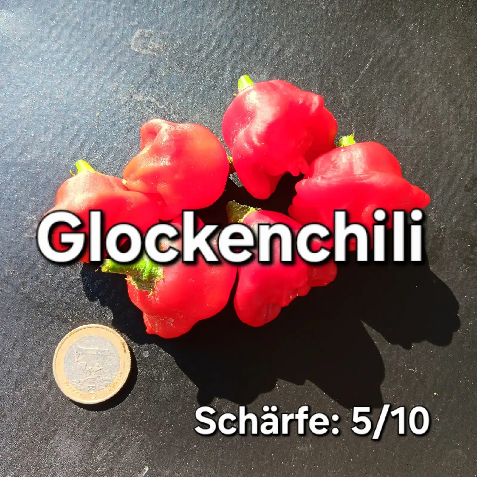 Chili / Paprika: Glockenchili (Schärfegrad 5)