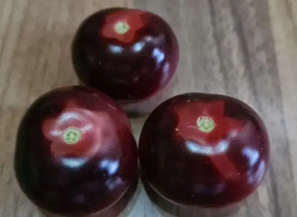 Tomaten: Glossy Rose Blue