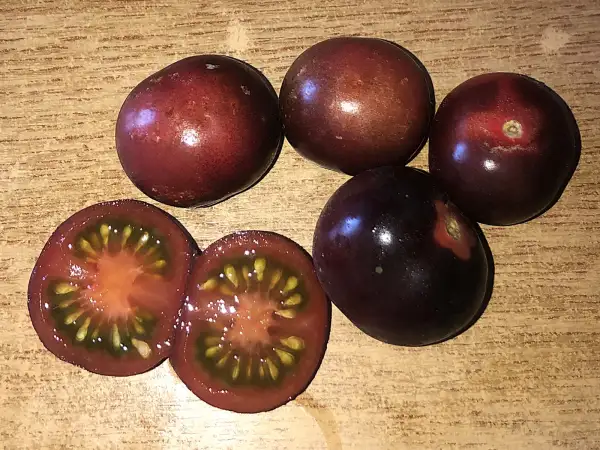 Tomaten: Glossy Rose Blue