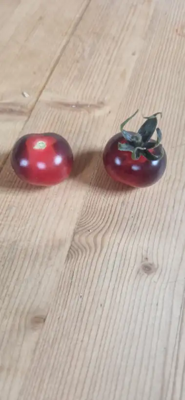 Tomaten: Glossy Rose Blue