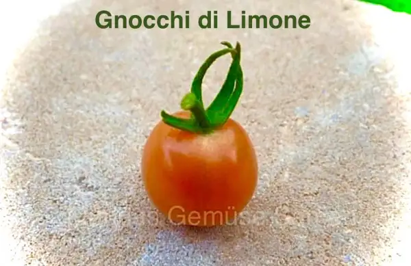 Tomaten: Gnocci di Limone