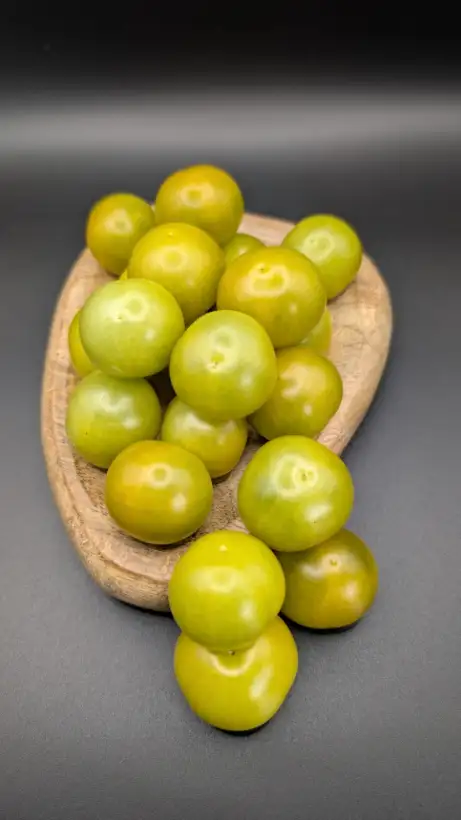 Tomaten: Gobstopper