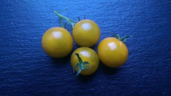 Tomaten: Gobstopper