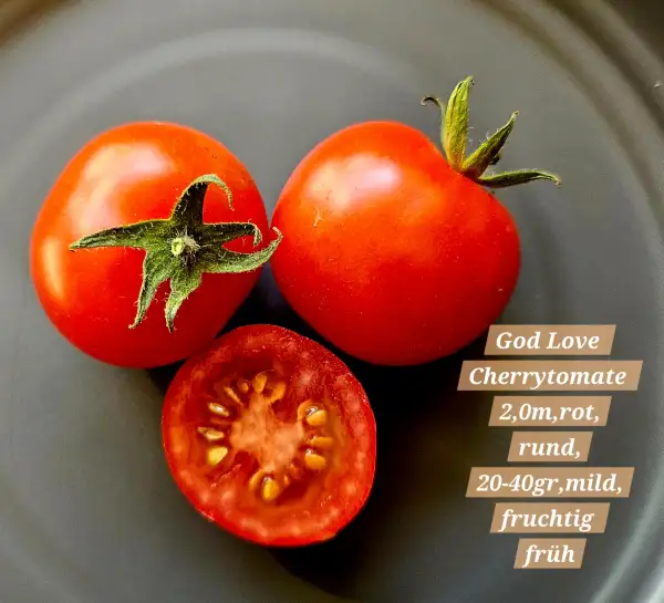 Tomaten: God Love