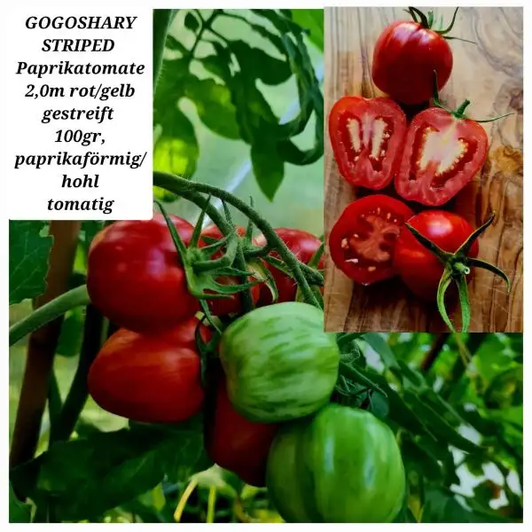 Tomaten: GOGOSHARY STRIPED