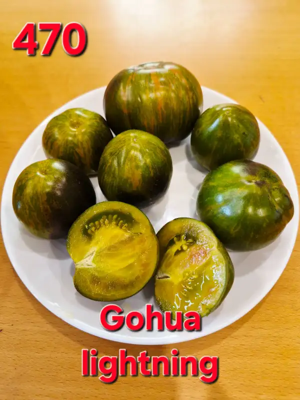 Tomaten: Gohua Lightning
