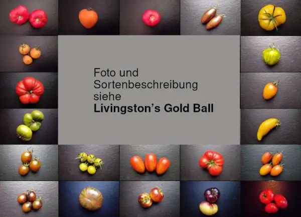 Tomaten: Gold Ball