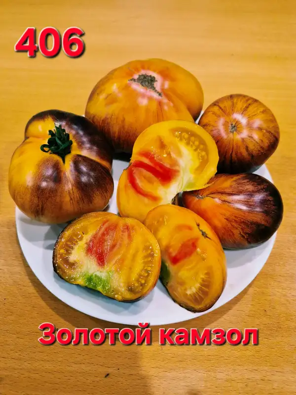 Tomaten: Gold doublet