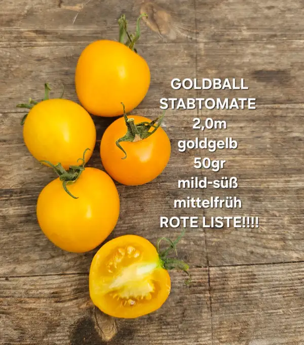 Tomaten: Goldball