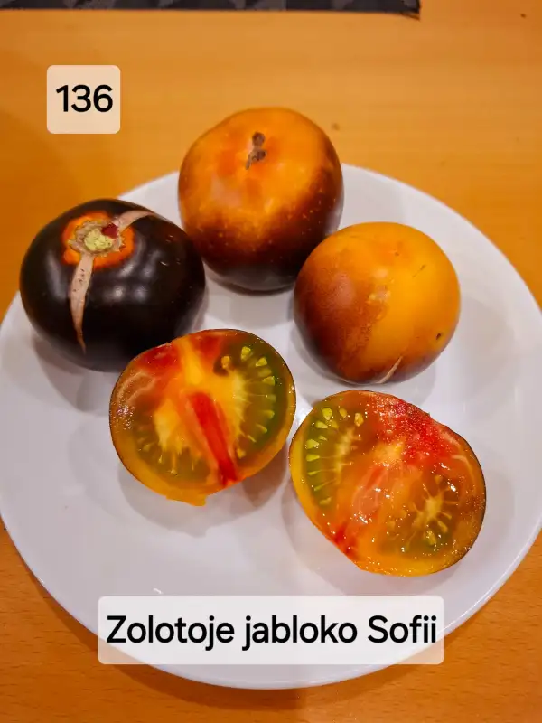 Tomaten: Golden apple of Sofia