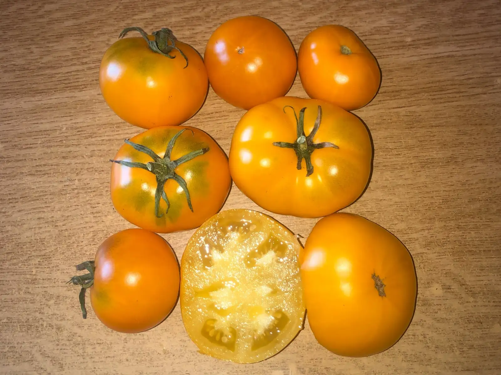 Tomaten: Golden Bison