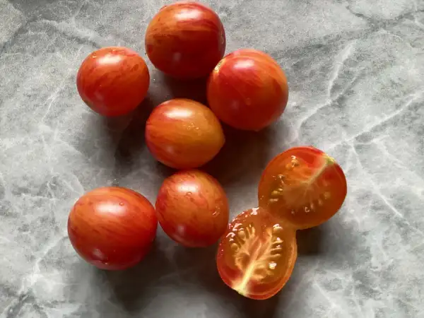 Tomaten: Golden Bumblebee