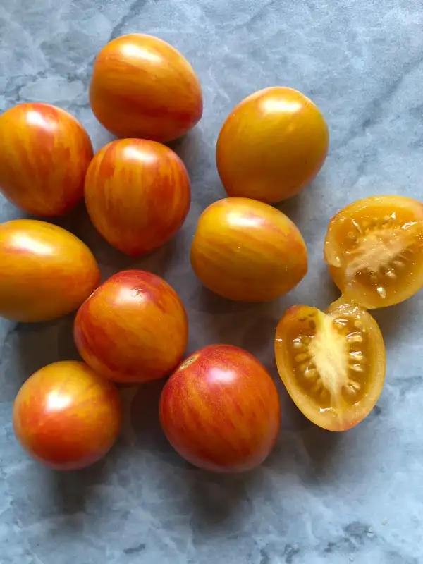 Tomaten: GOLDEN BUTTERFLY