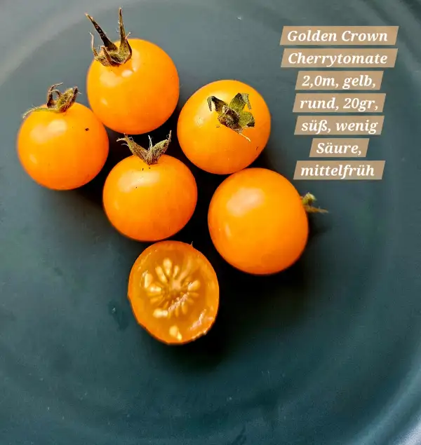 Tomaten: Golden Crown