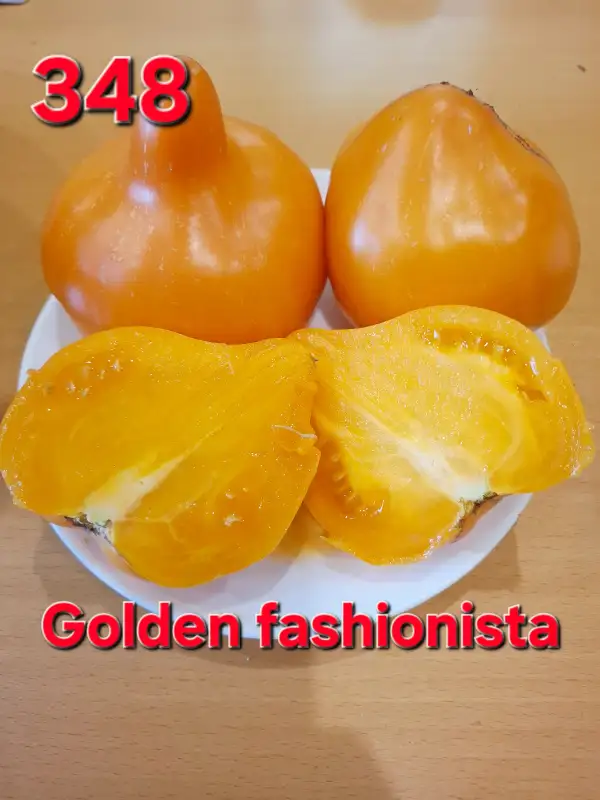 Tomaten: Golden fashionista