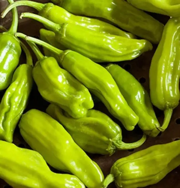 Paprika: Golden Greek Peperoncini