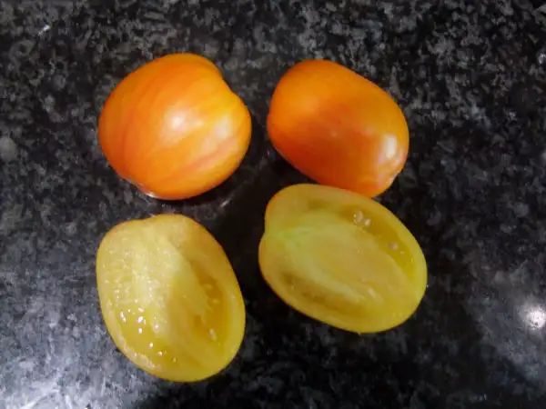 Tomaten: Golden Hour - Zwergtomate