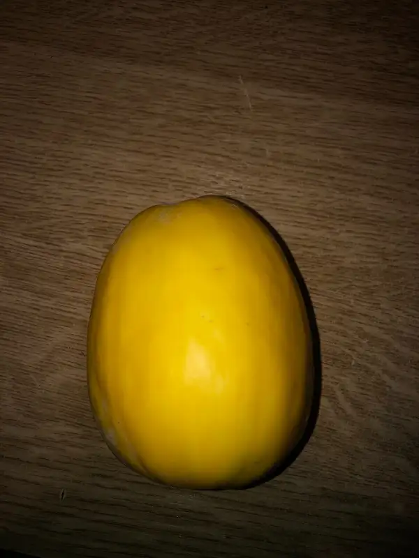 Obst: Golden Sweet melone