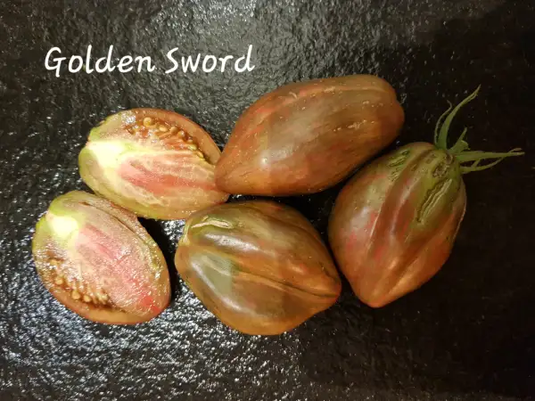 Tomaten: GOLDEN SWORD