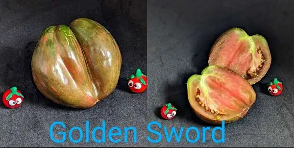 Tomaten: GOLDEN SWORD