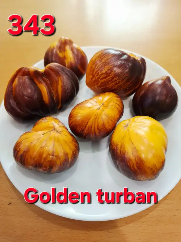 Tomaten: Golden turban
