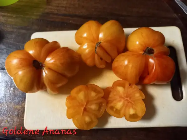 Tomaten: Goldene Ananas