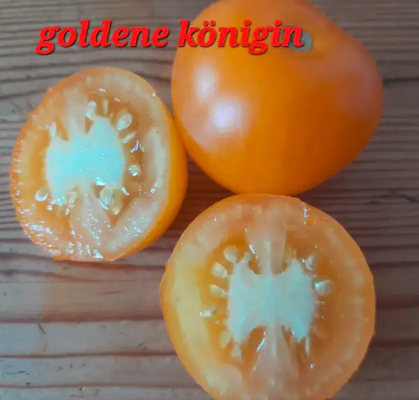 Tomaten: Goldene Königin