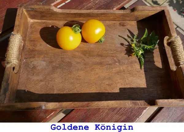 Tomaten: Goldene Königin
