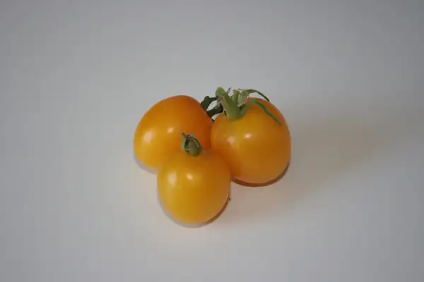 Tomaten: Goldene Königin