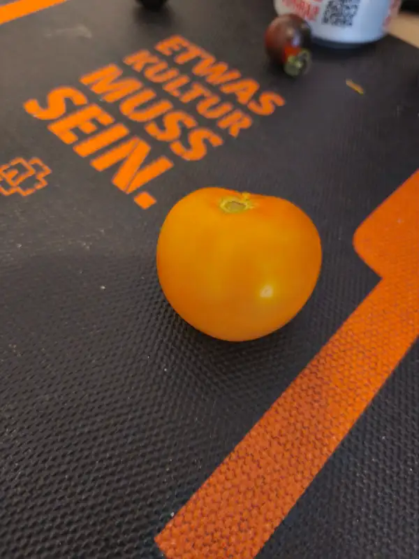 Tomaten: Goldene_Königin