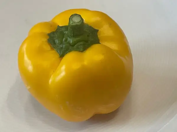 Paprika: Goldener Fasan