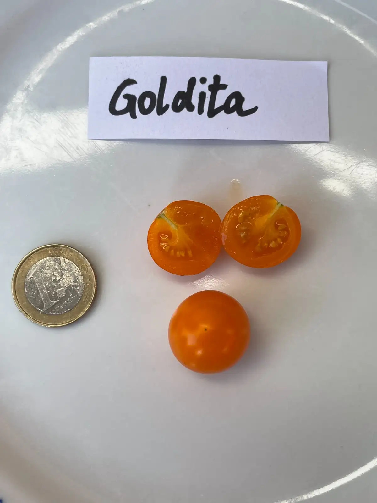 Tomaten: Goldita