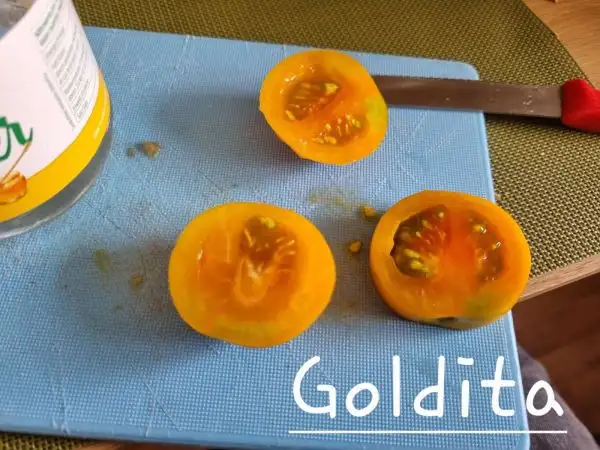 Tomaten: Goldita