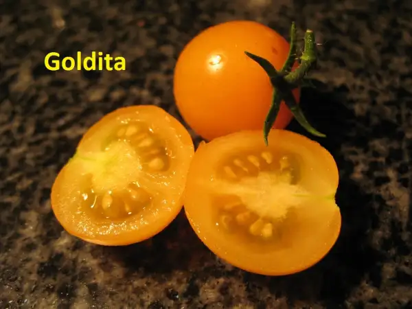 Tomaten: Goldita