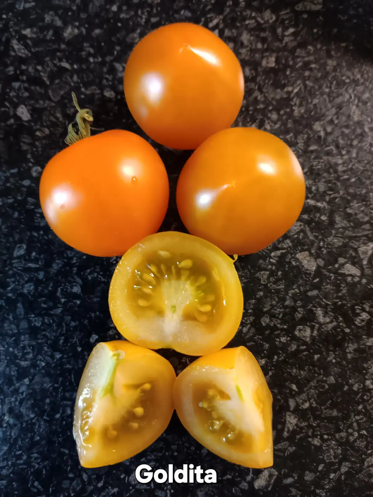 Tomaten: Goldita