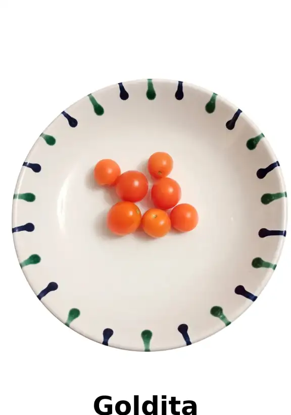 Tomaten: Goldita